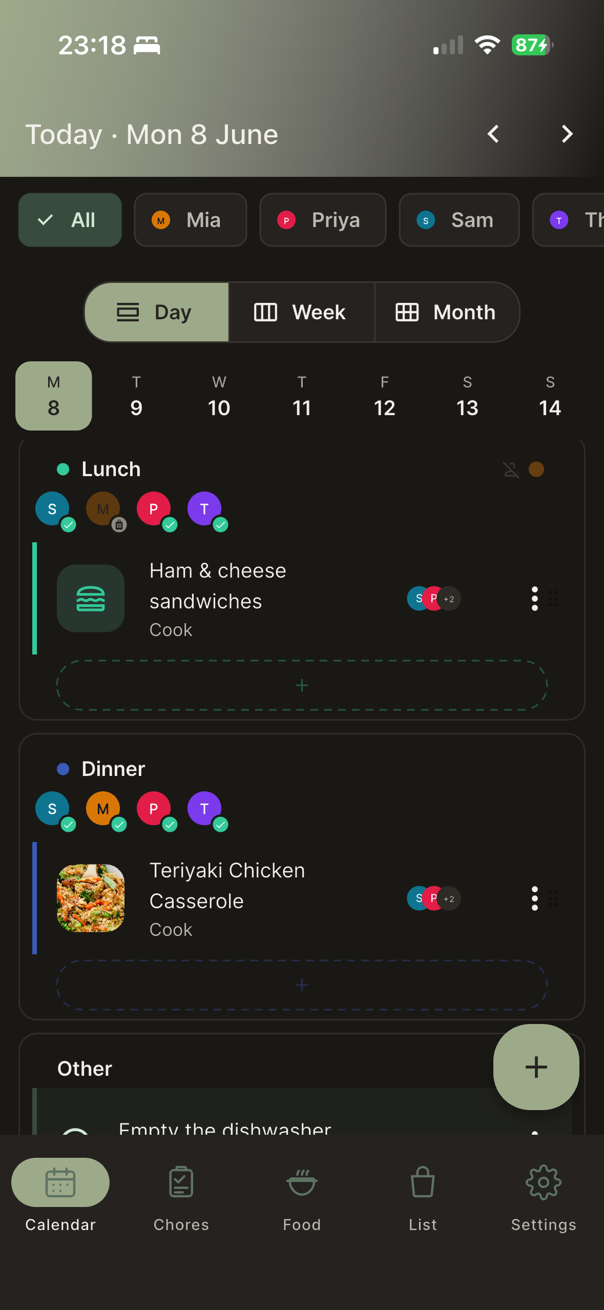 A single day in detail with meal photos